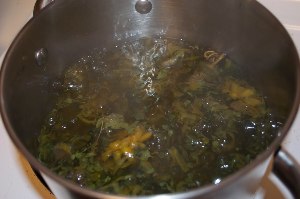 Herbal cooking for varicose veins