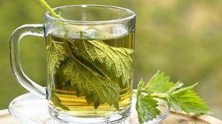 Decoction of nettle for the treatment of varicose veins