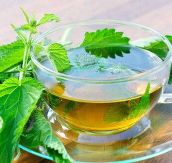 Stinging nettle infusion against varicose veins